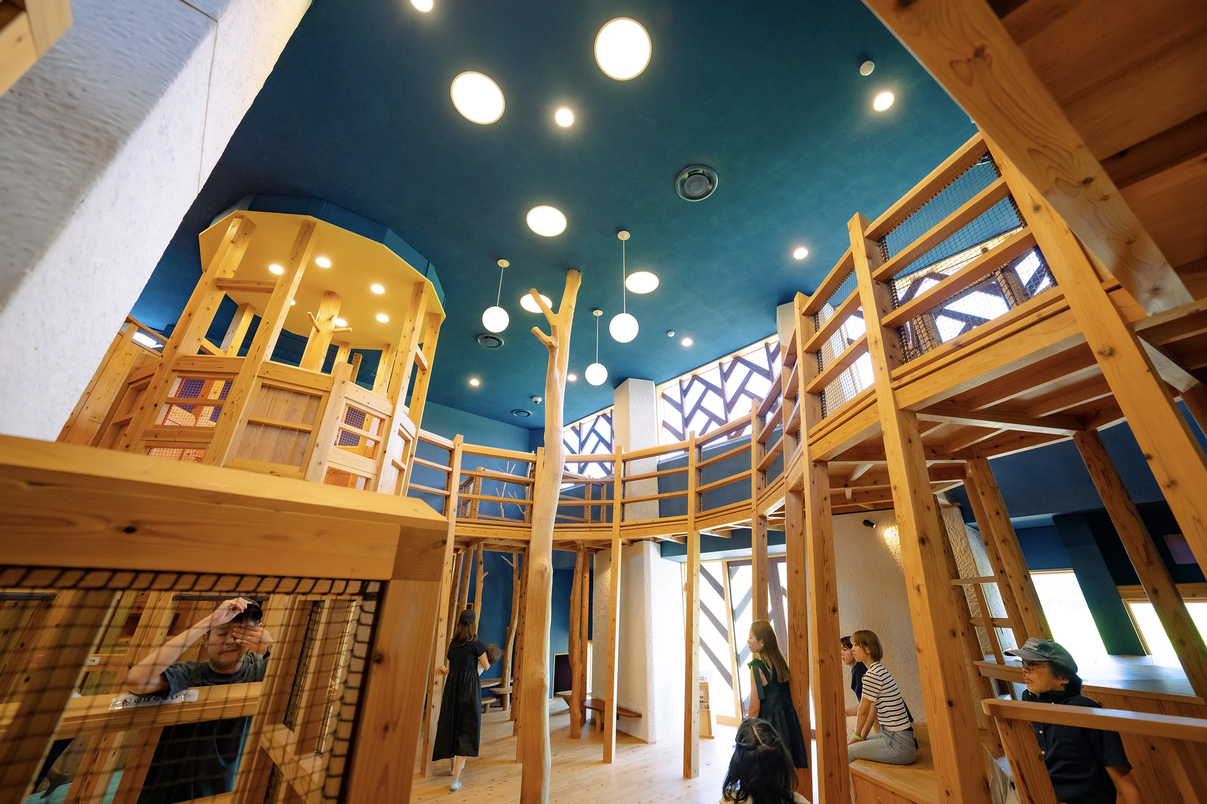 あそびハウス こどもと森・おもちゃハウス こどもと木